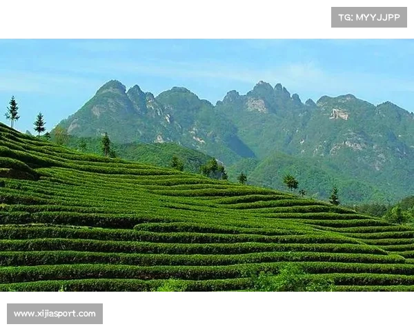 商洛依托赛事经济带动住宿业增长150%，餐饮业增长20%